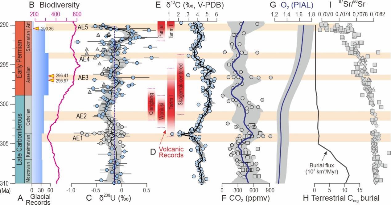 全球变暖竟让海洋缺氧3亿年前气候状态警示危机(图3)