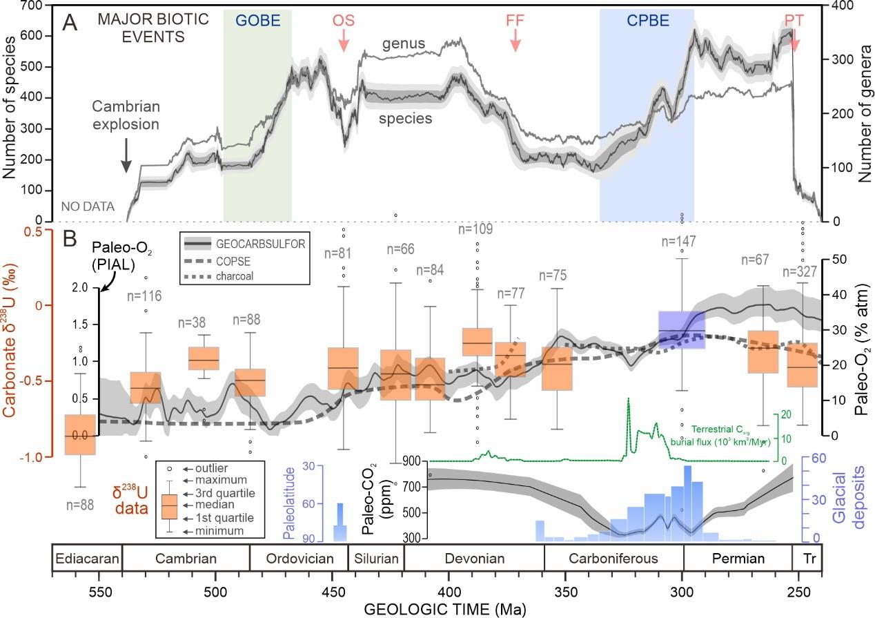 全球变暖竟让海洋缺氧3亿年前气候状态警示危机