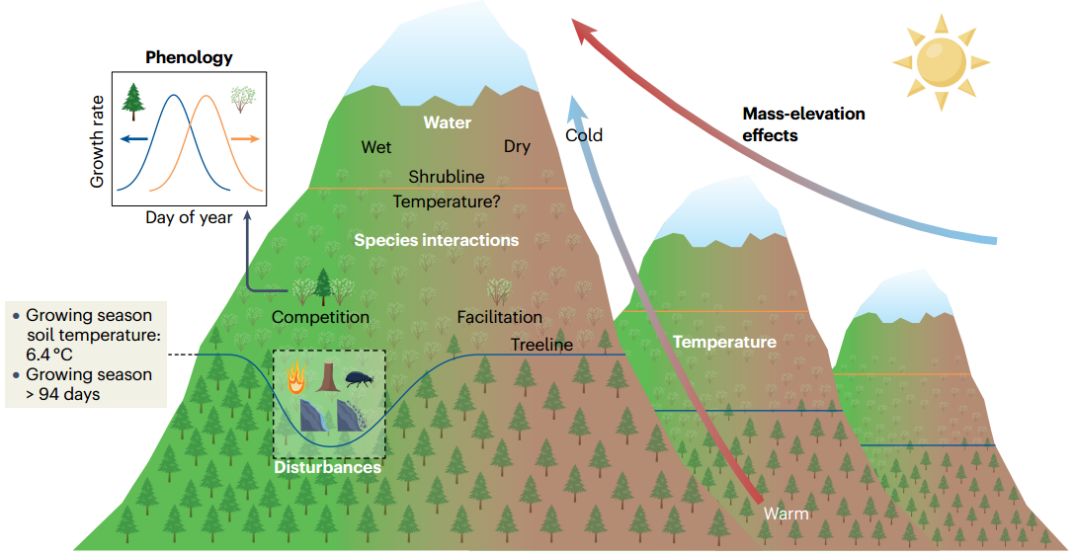 树木也会“搬家”？科学家揭示全球高山树线与灌木线格局与迁移机制(图1)