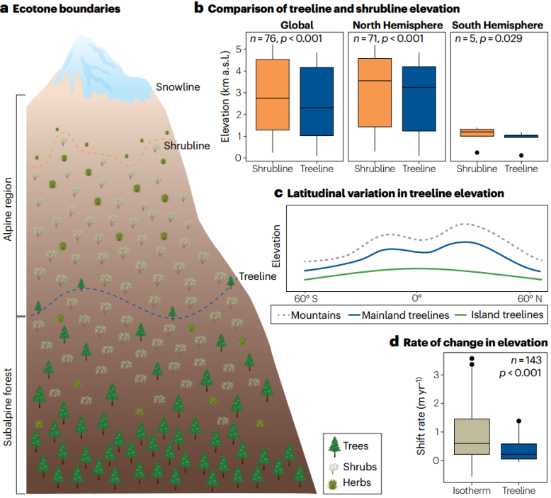 树木也会“搬家”？科学家揭示全球高山树线与灌木线格局与迁移机制(图2)