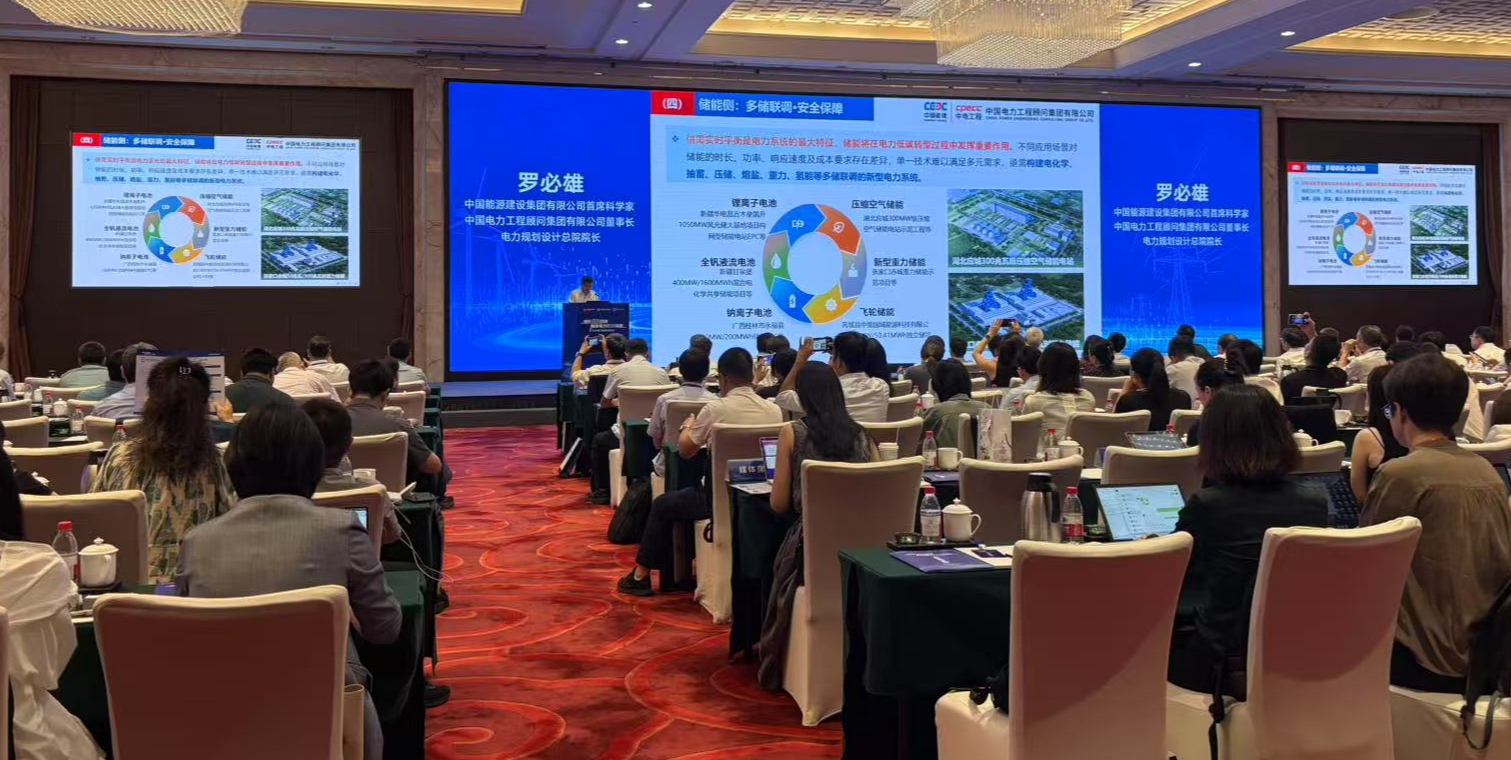 规划引领新能源高质量发展2025电力低碳转型年会举行(图1)
