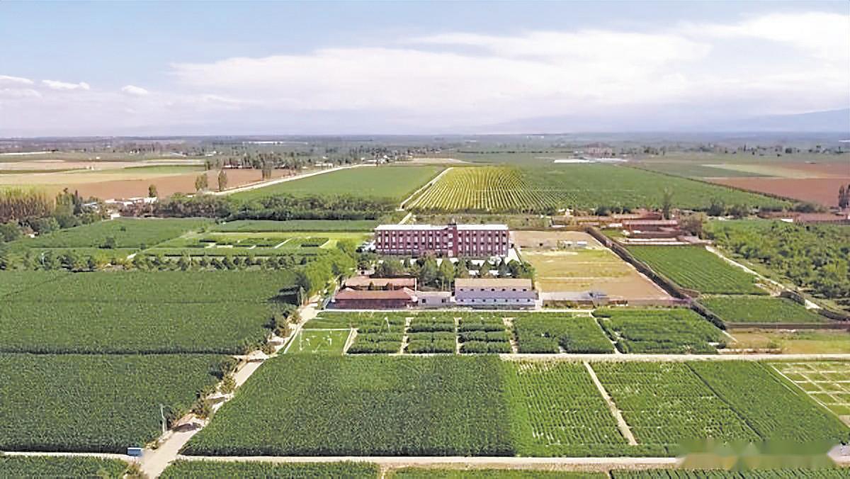 中国工程院院士康绍忠：强化系统调控实现多产粮少用水(图2)