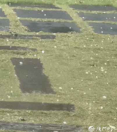 聚焦厦门台风暴雨应急防御体系建设构建“大安全、大应急”新格局(图4)