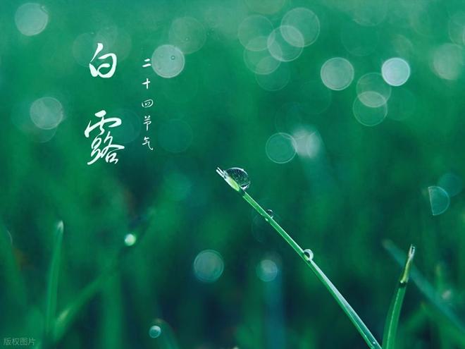 今年是中元逢白露农事加速跑看农谚是咋说的有科学道理吗？