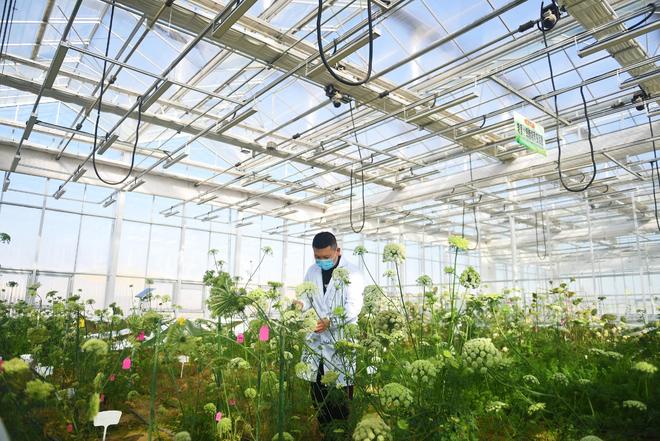 从“被动治”到“主动防”——全球变暖中国农业如何应“烤”