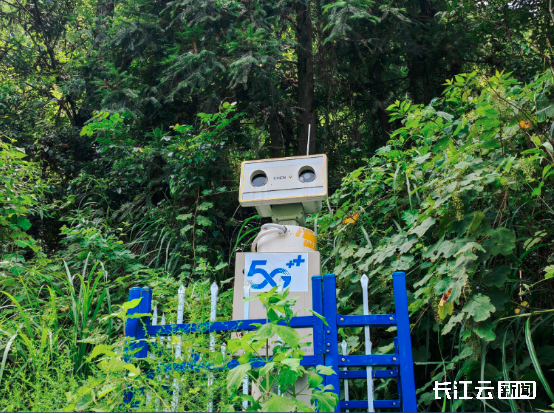 “数智哨兵“实时在线G+北斗边坡雷达落地湖北(图2)