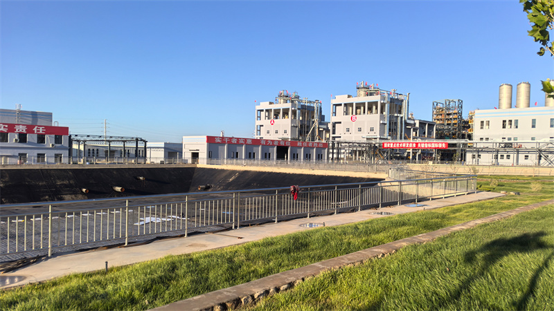 焕“新”之路丨新疆培育壮大特色优势产业(图4)