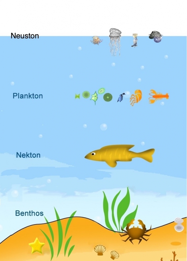 颠覆认知！中国科学家发现全球气候预测将被推翻？(图3)