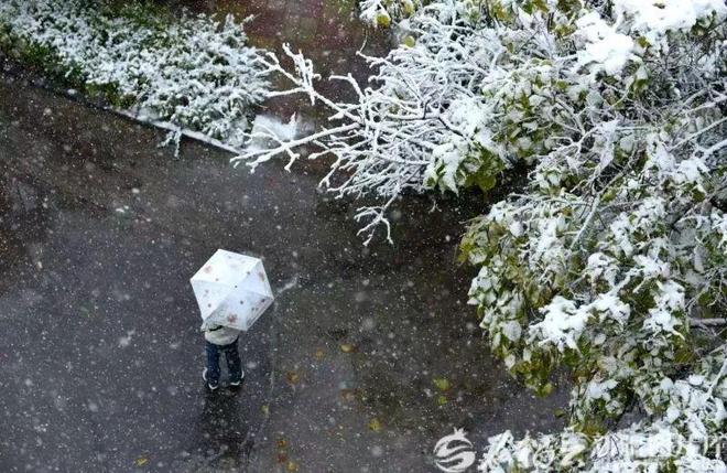 今冬新疆冷不冷？最新气候预测来了→