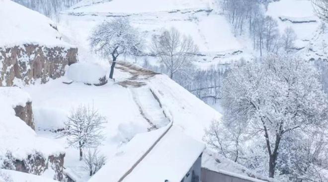 俗话“白天冬至单衣过冬；晚上冬至冻死老牛”今年冬天在哪？(图4)