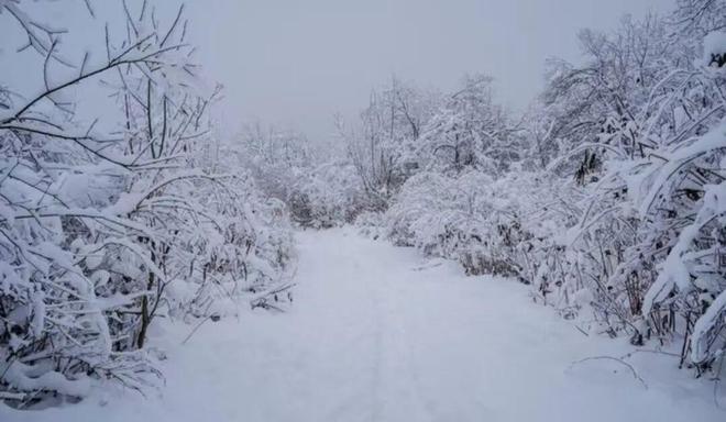 俗话“白天冬至单衣过冬；晚上冬至冻死老牛”今年冬天在哪？(图3)