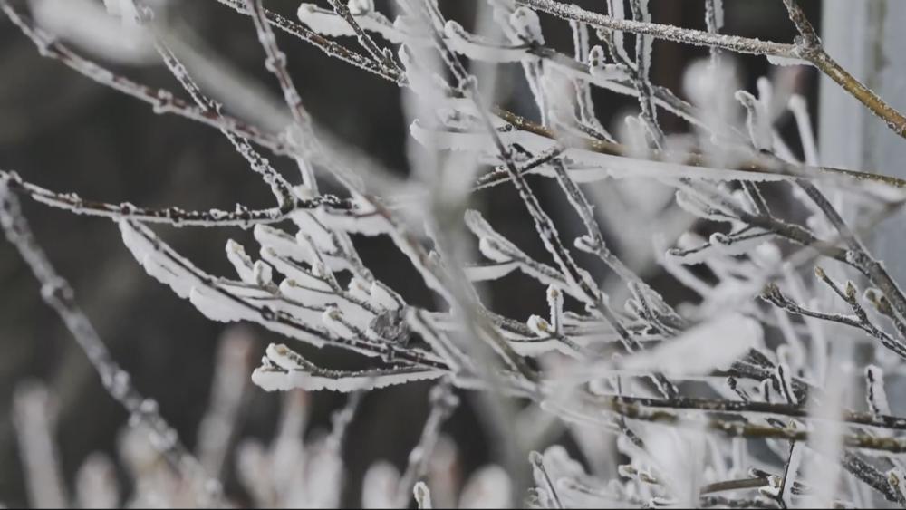 “多圈层”的地球系统预报要来了！将怎样改变你的生活？
