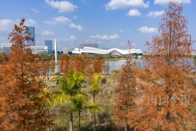 发生极端低温可能性大暴雨高温多！2026年柳州气候预测来了