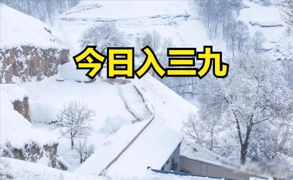 今天是三九的第一天(图2)