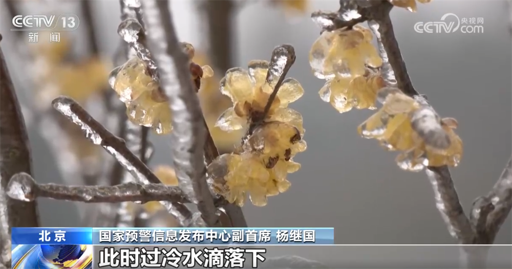 从气象数据解读2026年首场寒潮我国气象观测预报技术“向新向智”迭代升级(图7)