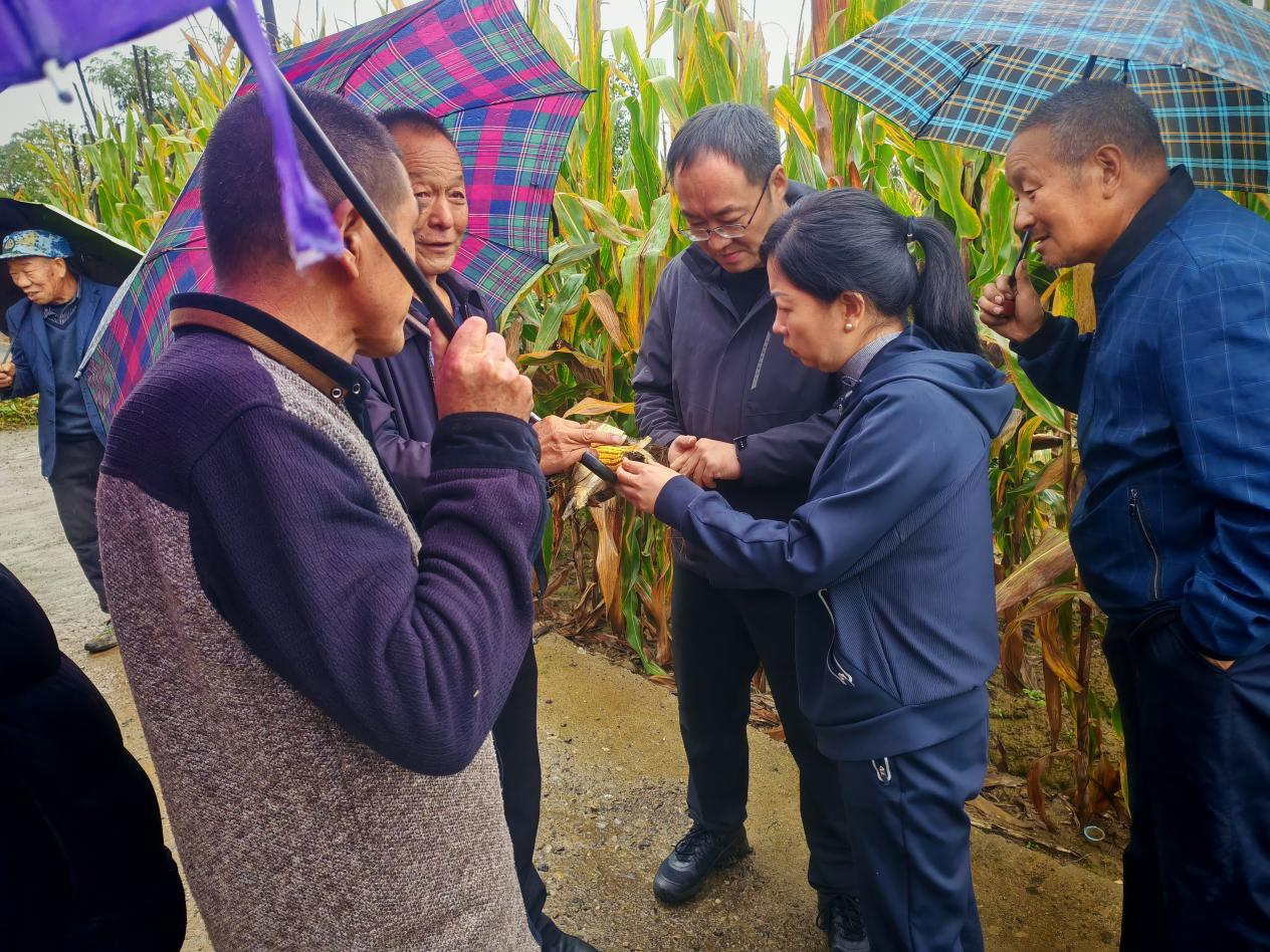 蒲县气象局：靶向发力“三定”预报 打通服务群众“最后一公里”