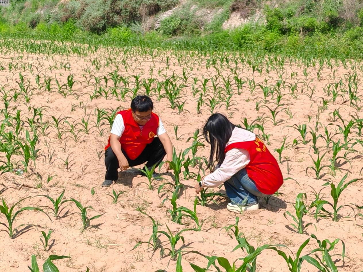 蒲县气象局：靶向发力“三定”预报 打通服务群众“最后一公里”(图2)