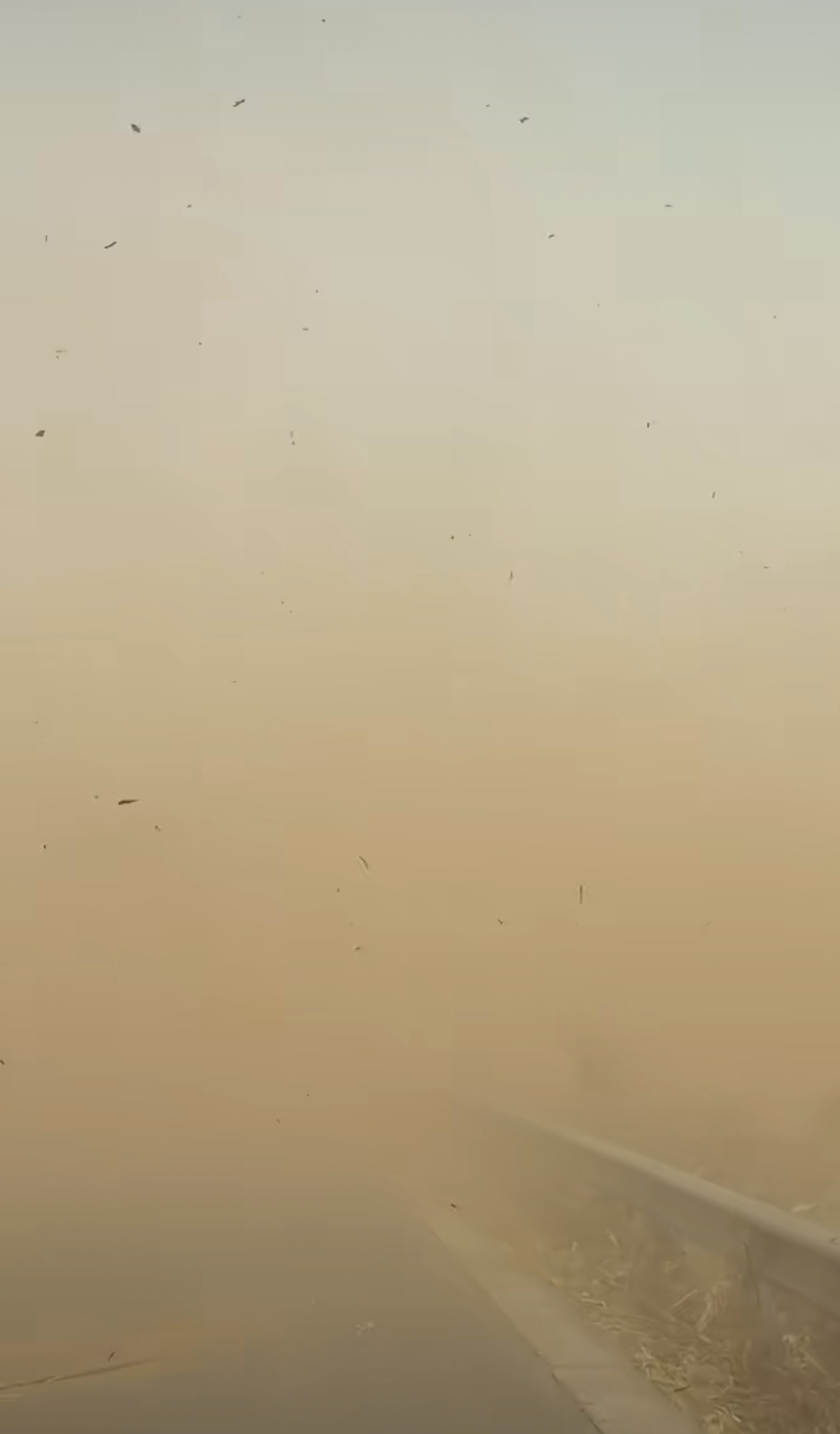 春运返程遇沙尘侵袭50余市现PM10重污染(图2)