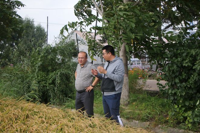 东北农业大学师生：把两会精神播撒在黑土地上(图4)