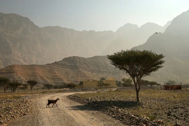 联合国预警：2025年地球储热破纪录气候危机恐延续千年