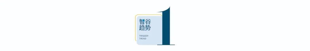 “网上没赢过现实没输过”最低调的985出圈了